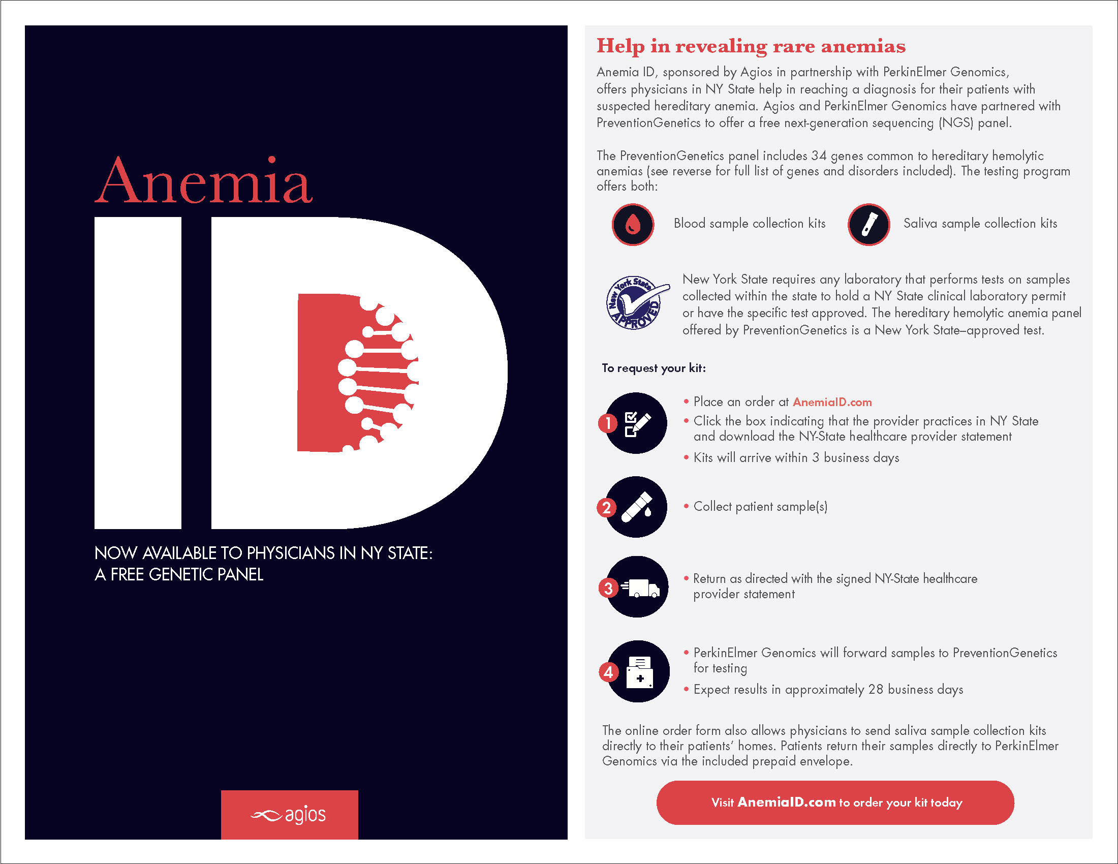 NY State Anemia ID flashcard